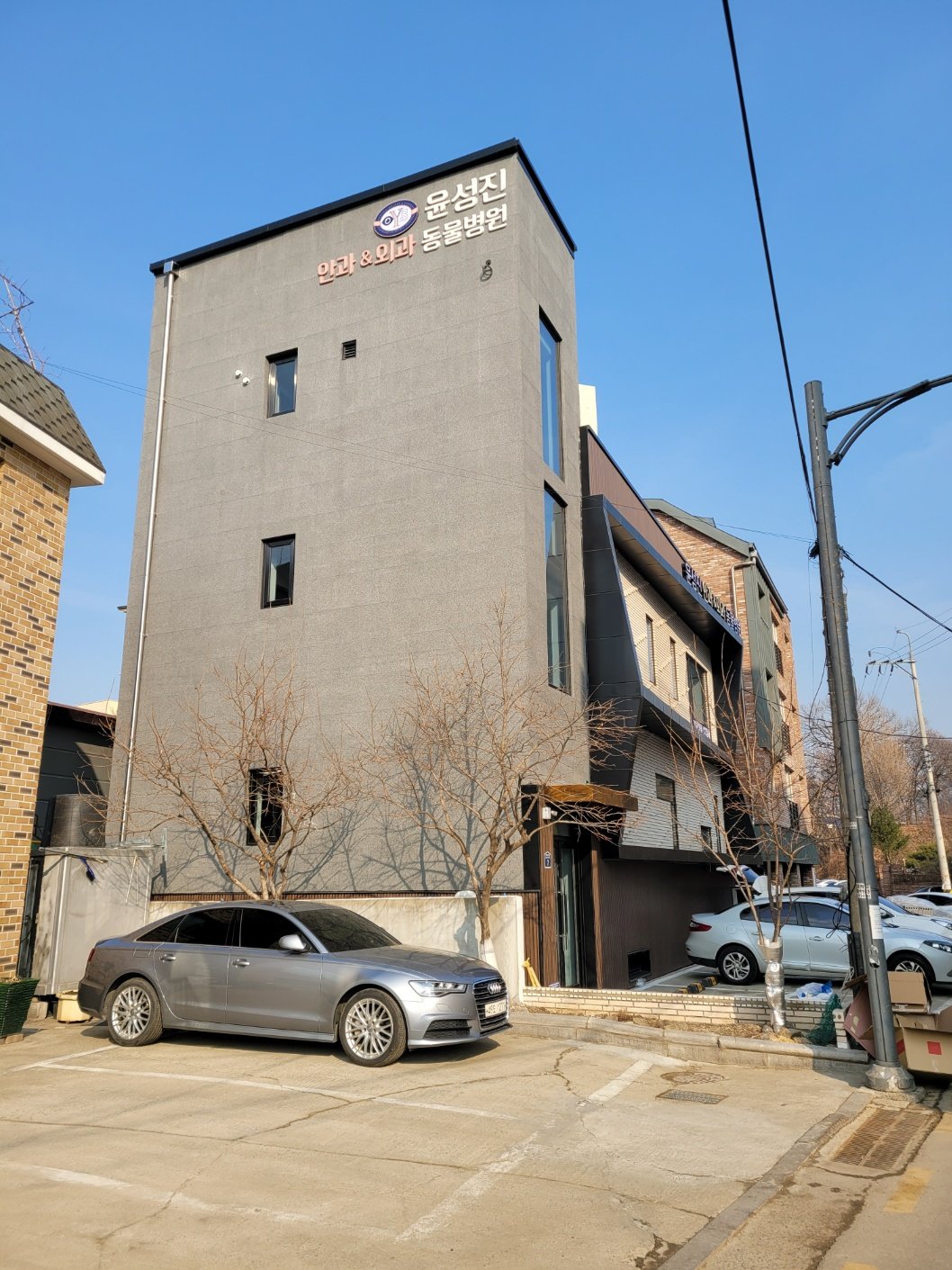 THE BLUE 동물병원 · 건물 전경